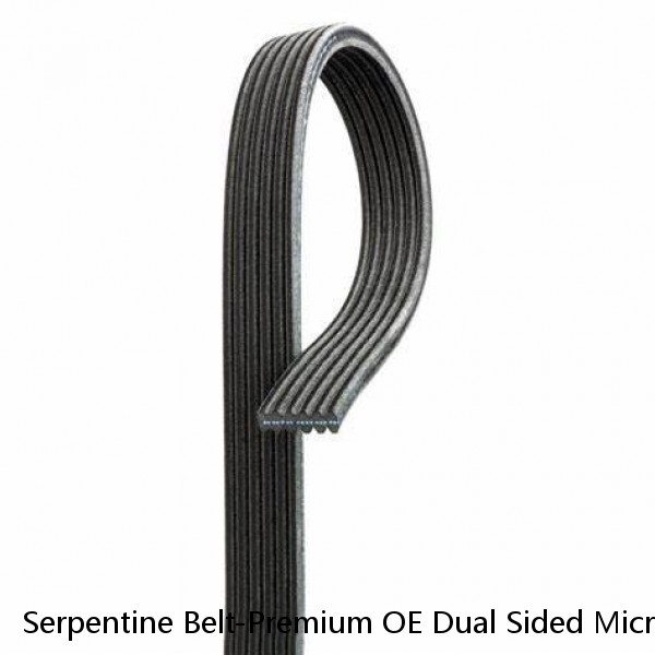 Serpentine Belt-Premium OE Dual Sided Micro-V Belt fits 14-19 Corvette 6.2L-V8