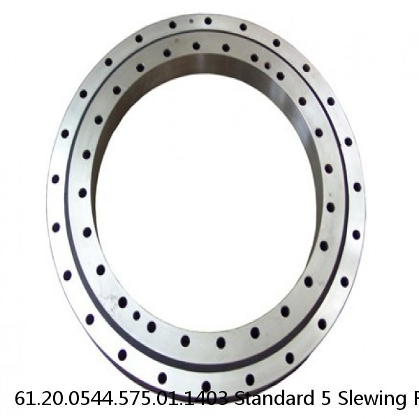 61.20.0544.575.01.1403 Standard 5 Slewing Ring Bearings #1 small image
