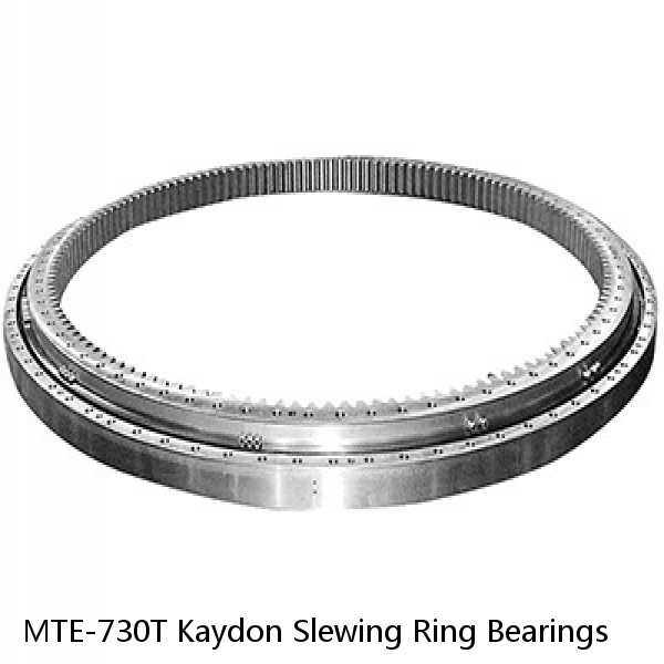 MTE-730T Kaydon Slewing Ring Bearings #1 small image