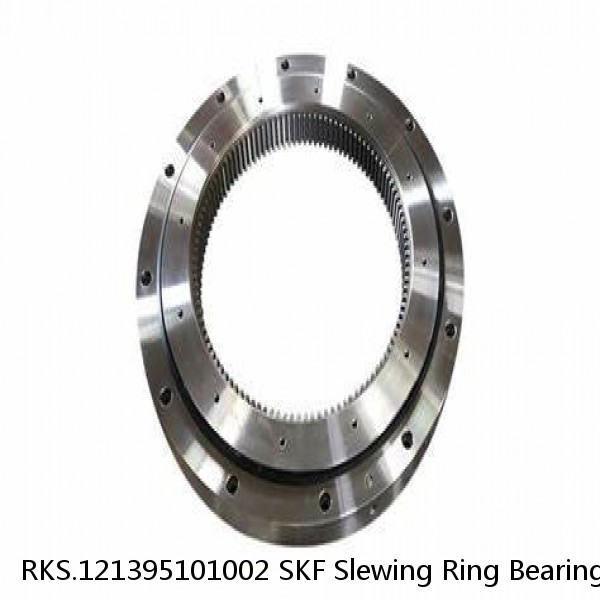 RKS.121395101002 SKF Slewing Ring Bearings #1 small image