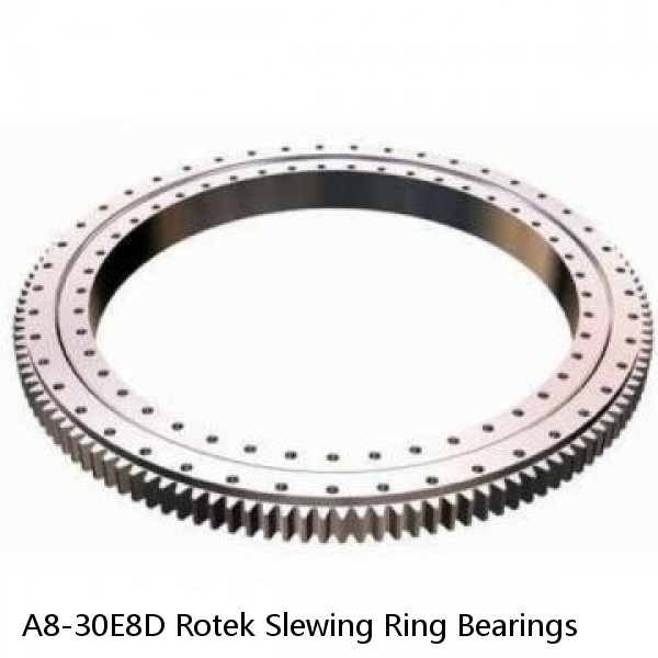 A8-30E8D Rotek Slewing Ring Bearings #1 small image