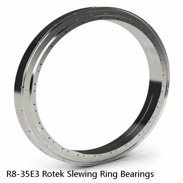 R8-35E3 Rotek Slewing Ring Bearings