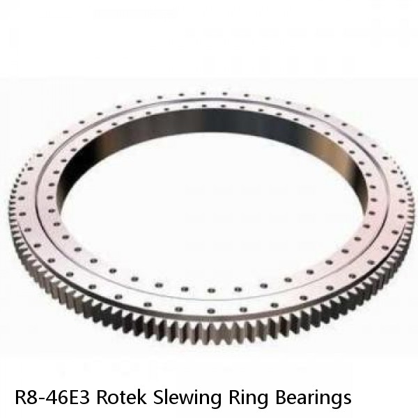 R8-46E3 Rotek Slewing Ring Bearings