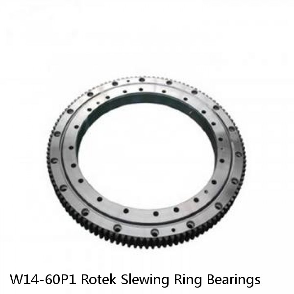 W14-60P1 Rotek Slewing Ring Bearings