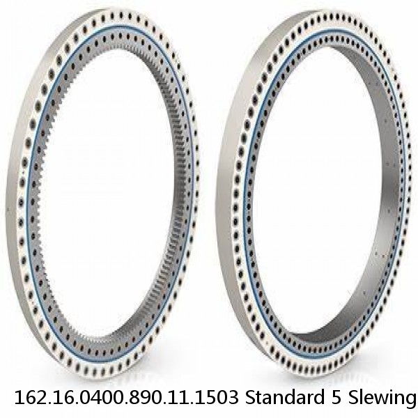 162.16.0400.890.11.1503 Standard 5 Slewing Ring Bearings #1 small image