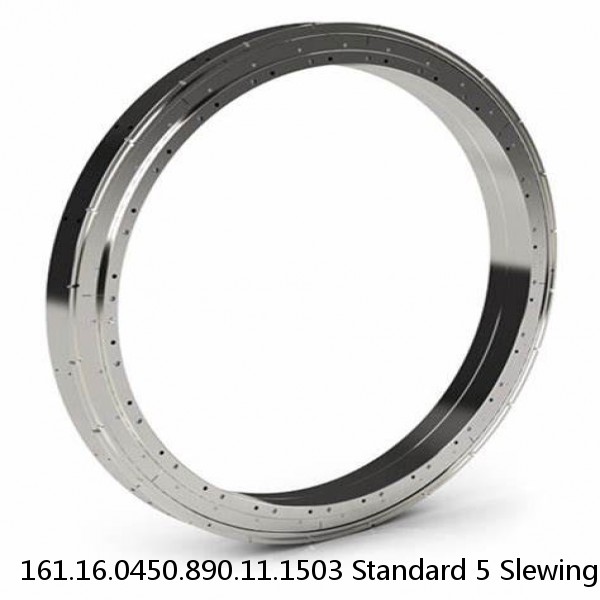 161.16.0450.890.11.1503 Standard 5 Slewing Ring Bearings #1 small image