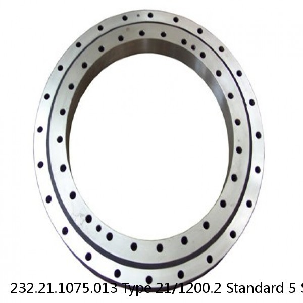 232.21.1075.013 Type 21/1200.2 Standard 5 Slewing Ring Bearings #1 small image