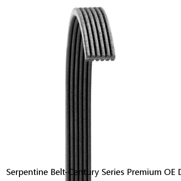 Serpentine Belt-Century Series Premium OE Dual Sided Micro-V Belt fits Corvette #1 small image