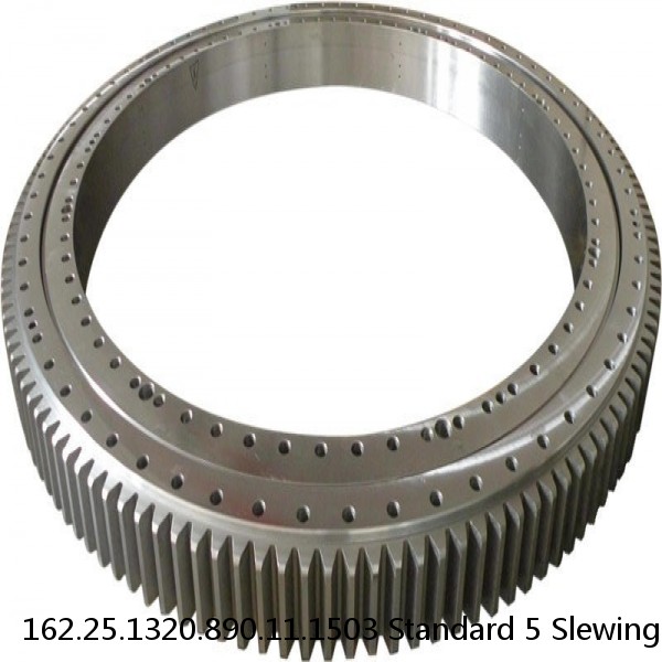 162.25.1320.890.11.1503 Standard 5 Slewing Ring Bearings #1 image