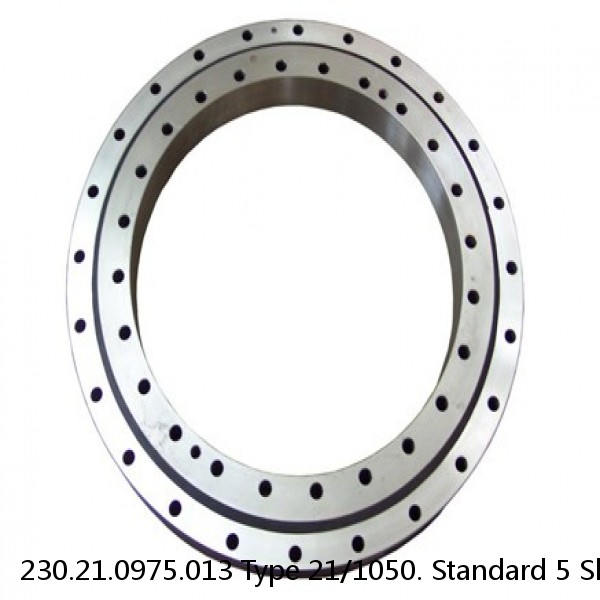 230.21.0975.013 Type 21/1050. Standard 5 Slewing Ring Bearings #1 image