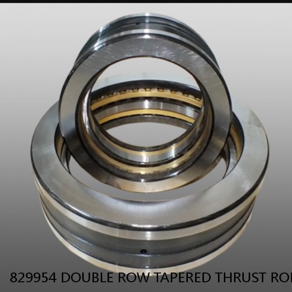 829954 DOUBLE ROW TAPERED THRUST ROLLER BEARINGS #1 image