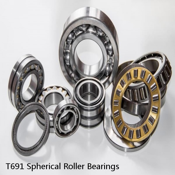 T691 Spherical Roller Bearings #1 image