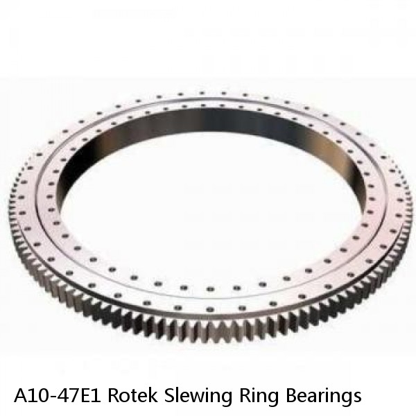 A10-47E1 Rotek Slewing Ring Bearings #1 image