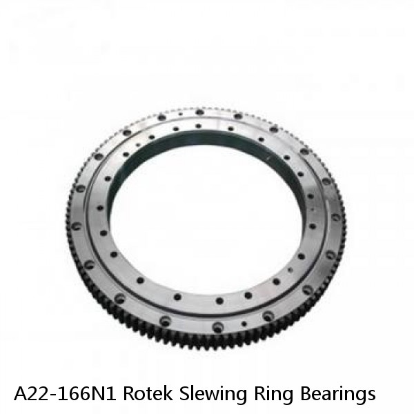 A22-166N1 Rotek Slewing Ring Bearings #1 image