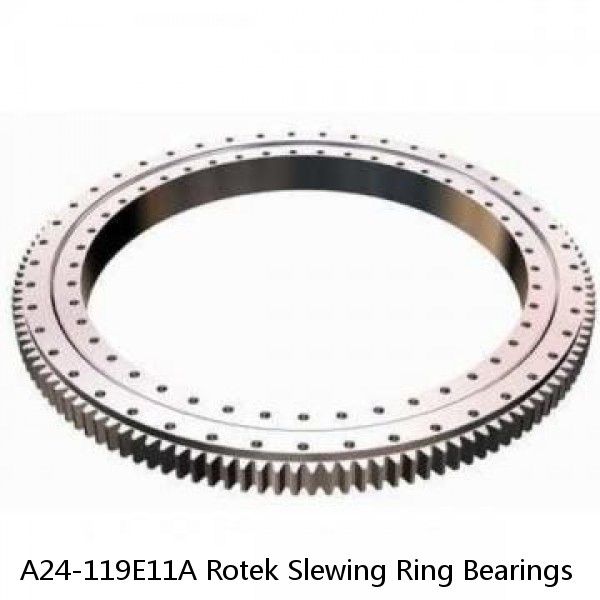 A24-119E11A Rotek Slewing Ring Bearings #1 image