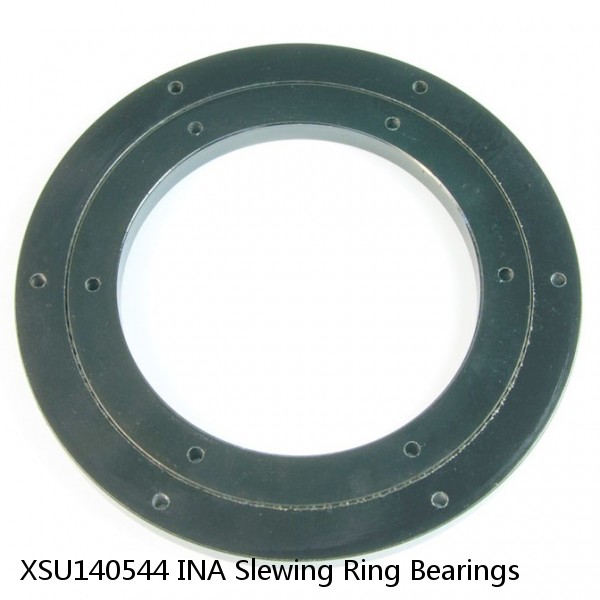 XSU140544 INA Slewing Ring Bearings #1 image