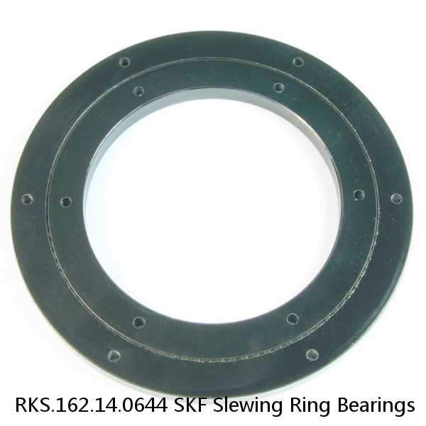 RKS.162.14.0644 SKF Slewing Ring Bearings #1 image