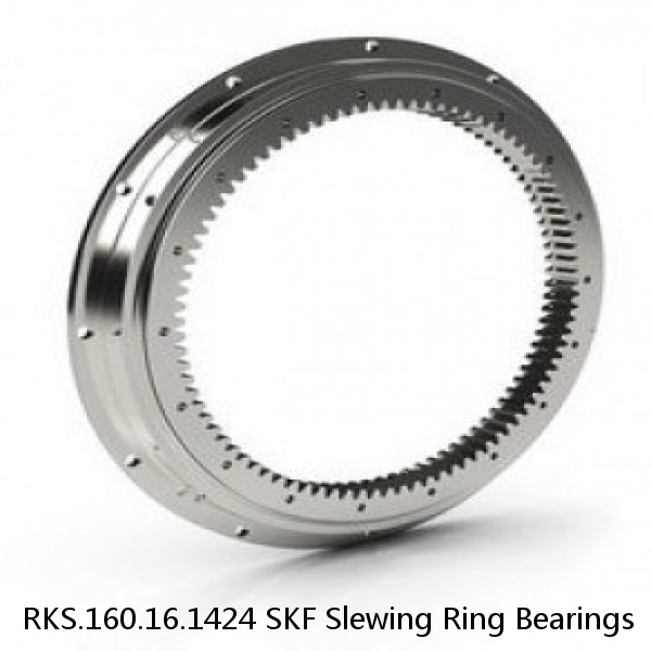 RKS.160.16.1424 SKF Slewing Ring Bearings #1 image