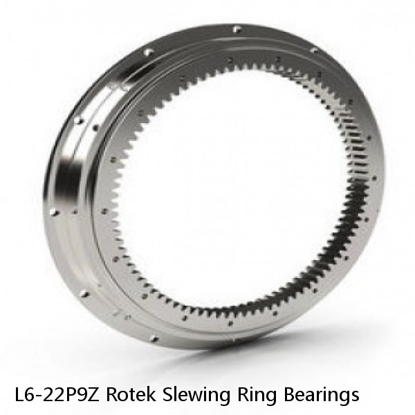 L6-22P9Z Rotek Slewing Ring Bearings #1 image