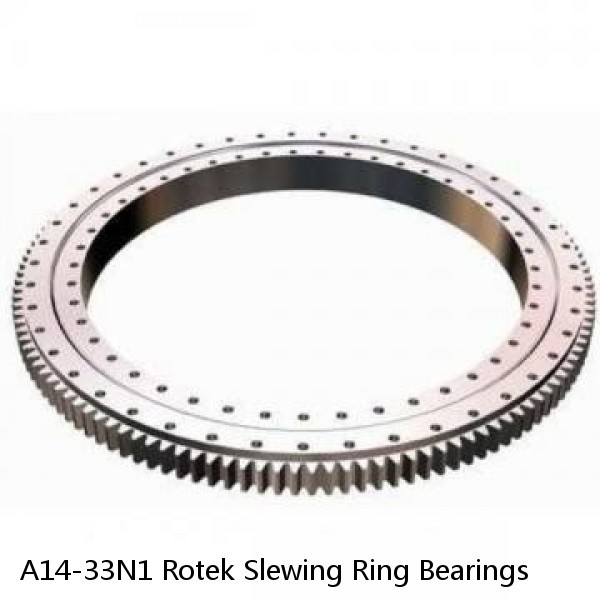 A14-33N1 Rotek Slewing Ring Bearings #1 image