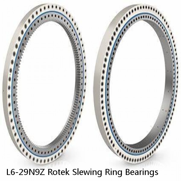 L6-29N9Z Rotek Slewing Ring Bearings #1 image