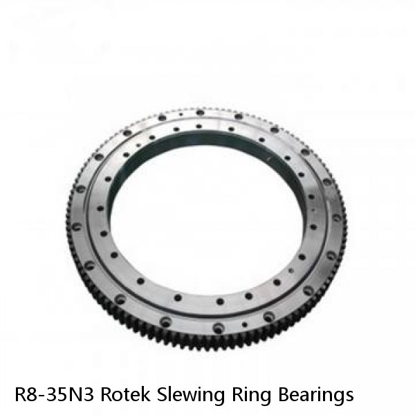 R8-35N3 Rotek Slewing Ring Bearings #1 image