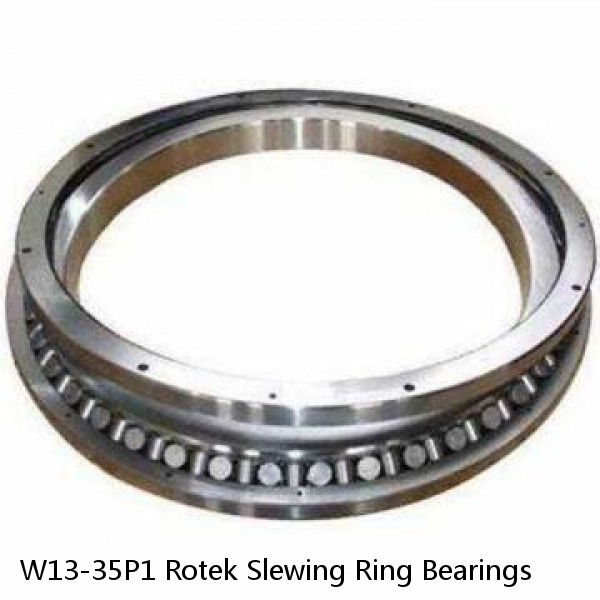 W13-35P1 Rotek Slewing Ring Bearings #1 image