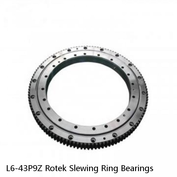 L6-43P9Z Rotek Slewing Ring Bearings #1 image