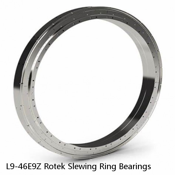 L9-46E9Z Rotek Slewing Ring Bearings #1 image