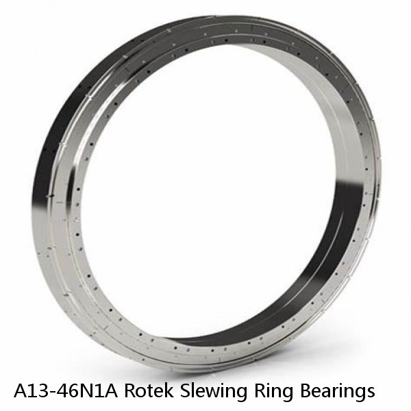 A13-46N1A Rotek Slewing Ring Bearings #1 image