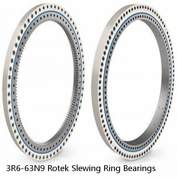 3R6-63N9 Rotek Slewing Ring Bearings #1 image