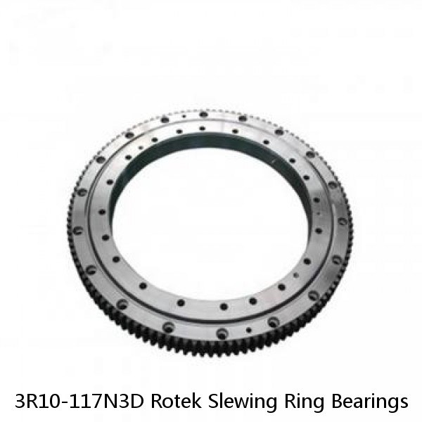 3R10-117N3D Rotek Slewing Ring Bearings #1 image