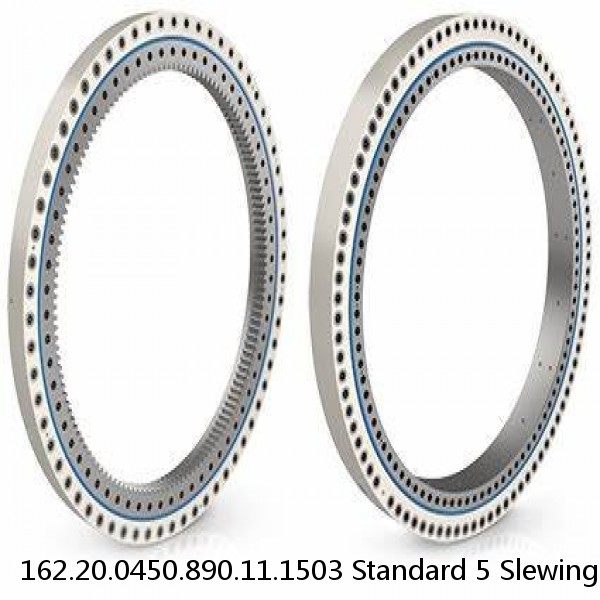 162.20.0450.890.11.1503 Standard 5 Slewing Ring Bearings #1 image