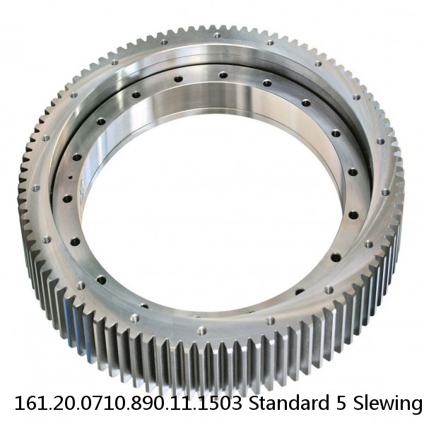 161.20.0710.890.11.1503 Standard 5 Slewing Ring Bearings #1 image