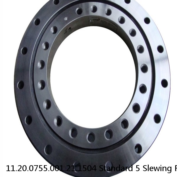 11.20.0755.001.21.1504 Standard 5 Slewing Ring Bearings #1 image