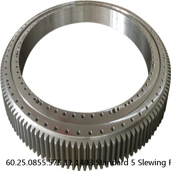 60.25.0855.575.11.1403 Standard 5 Slewing Ring Bearings #1 image