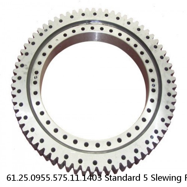 61.25.0955.575.11.1403 Standard 5 Slewing Ring Bearings #1 image