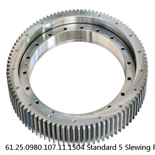 61.25.0980.107.11.1504 Standard 5 Slewing Ring Bearings #1 image