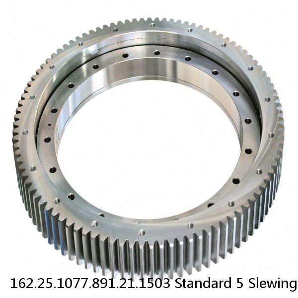 162.25.1077.891.21.1503 Standard 5 Slewing Ring Bearings #1 image