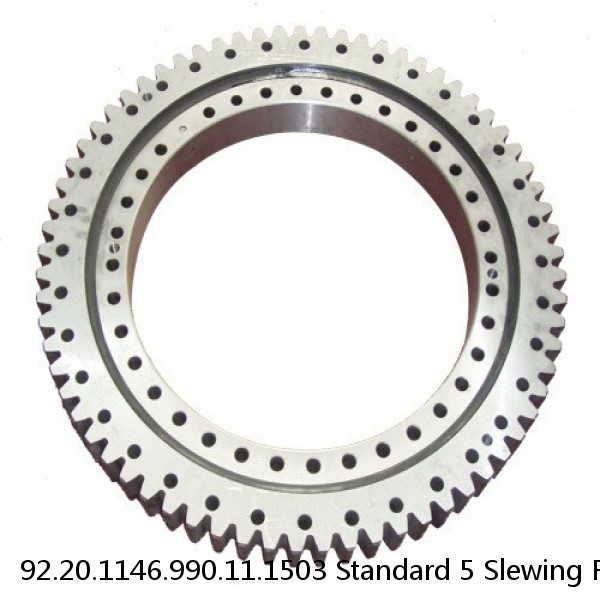 92.20.1146.990.11.1503 Standard 5 Slewing Ring Bearings #1 image