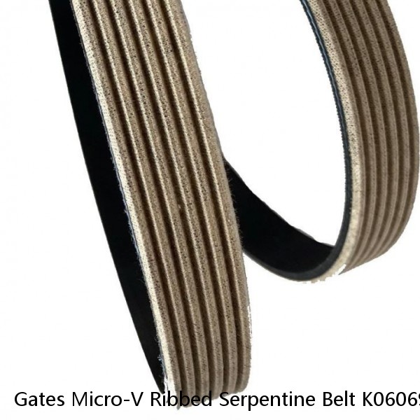 Gates Micro-V Ribbed Serpentine Belt K060695 6PK1763 #1 image