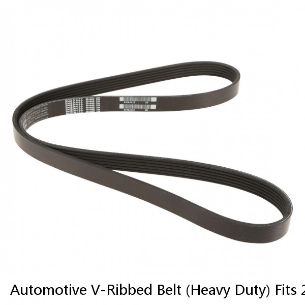 Automotive V-Ribbed Belt (Heavy Duty) Fits 2001-1998 Fits Volvo VN Series, Detro #1 image