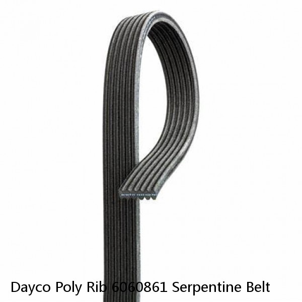 Dayco Poly Rib 6060861 Serpentine Belt #1 image
